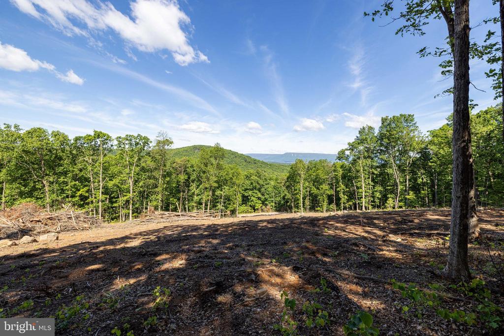 0 CROSS MOUNTAIN RD, LURAY, Virginia 22835, ,Land,0 CROSS MOUNTAIN RD,VAPA2006454 MLS # VAPA2006454