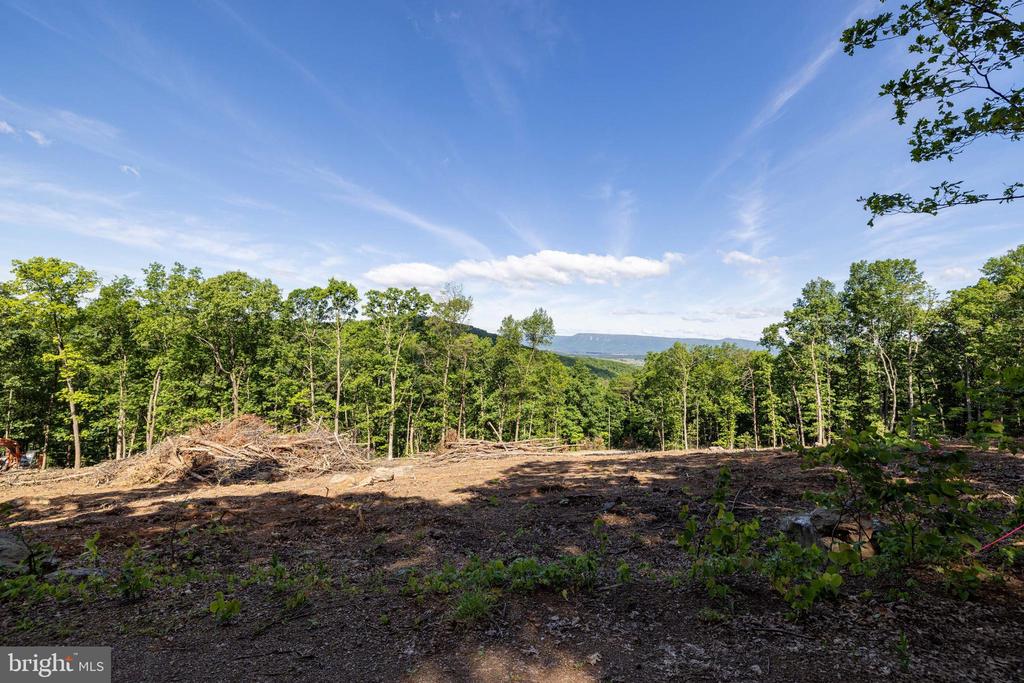 0 CROSS MOUNTAIN RD, LURAY, Virginia 22835, ,Land,0 CROSS MOUNTAIN RD,VAPA2006454 MLS # VAPA2006454