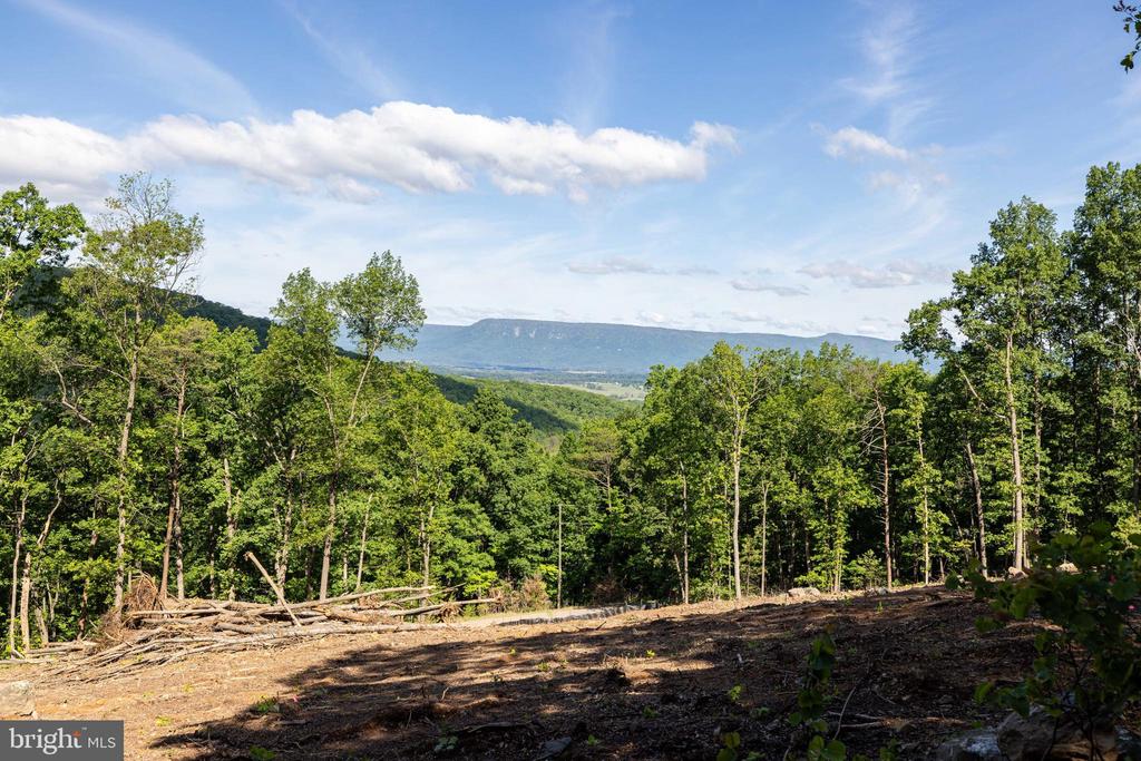 0 CROSS MOUNTAIN RD, LURAY, Virginia 22835, ,Land,0 CROSS MOUNTAIN RD,VAPA2006454 MLS # VAPA2006454