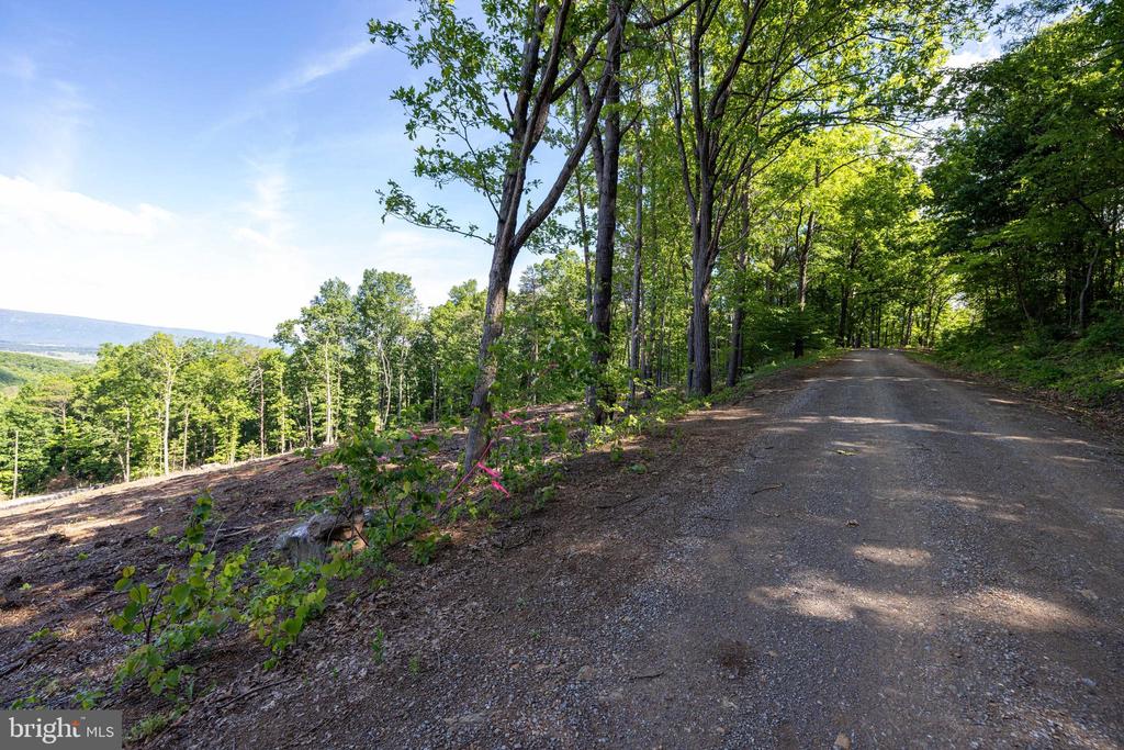 0 CROSS MOUNTAIN RD, LURAY, Virginia 22835, ,Land,0 CROSS MOUNTAIN RD,VAPA2006454 MLS # VAPA2006454