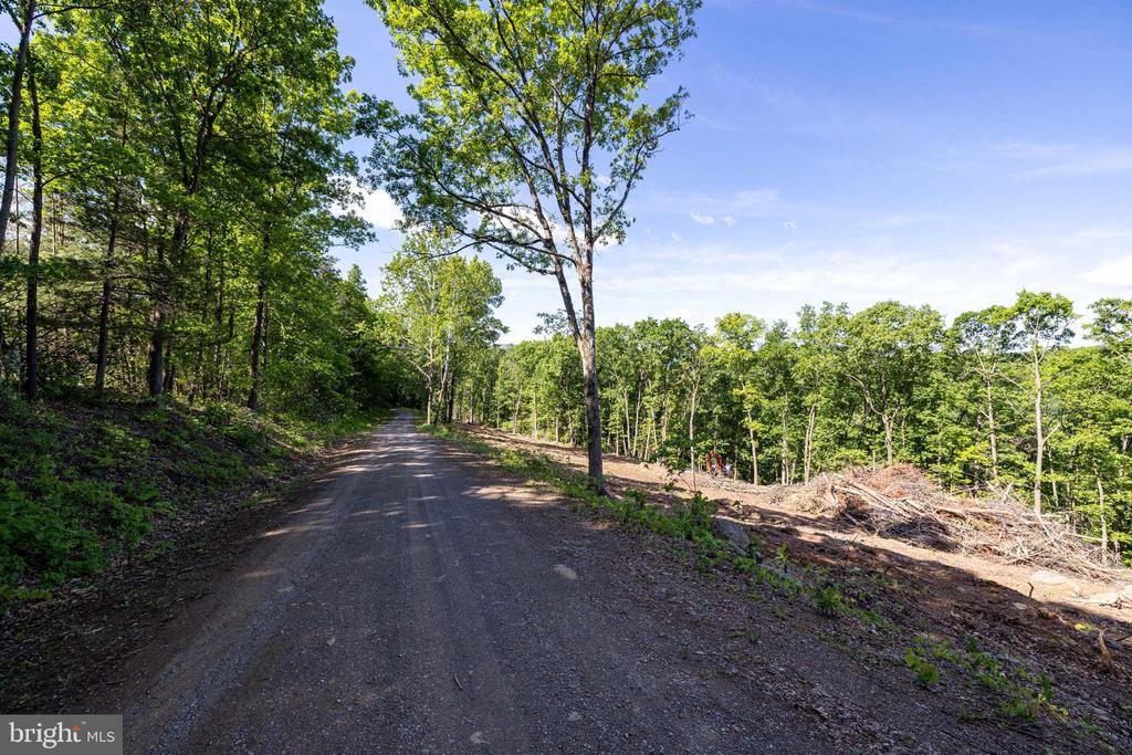 0 CROSS MOUNTAIN RD, LURAY, Virginia 22835, ,Land,0 CROSS MOUNTAIN RD,VAPA2006454 MLS # VAPA2006454