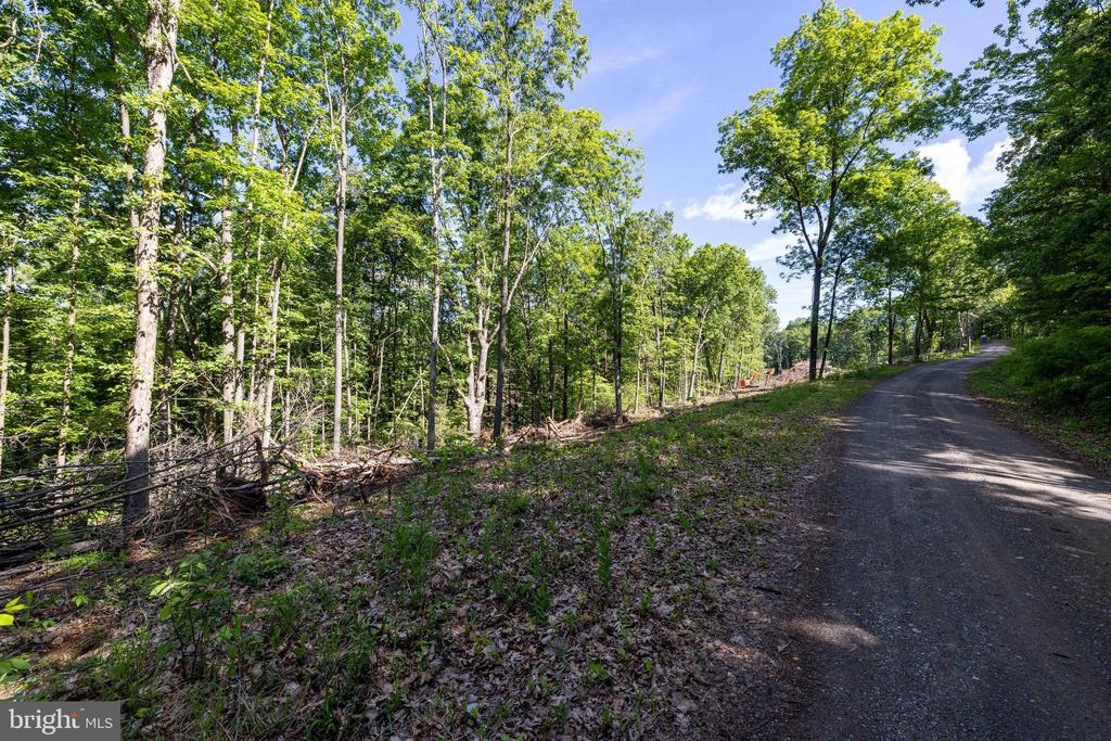 0 CROSS MOUNTAIN RD, LURAY, Virginia 22835, ,Land,0 CROSS MOUNTAIN RD,VAPA2006454 MLS # VAPA2006454
