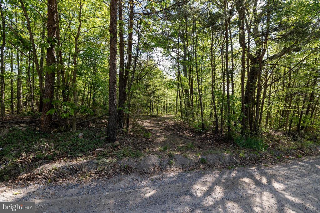 CROSS CREEK RD, LURAY, Virginia 22835, ,Land,CROSS CREEK RD,VAPA2006368 MLS # VAPA2006368
