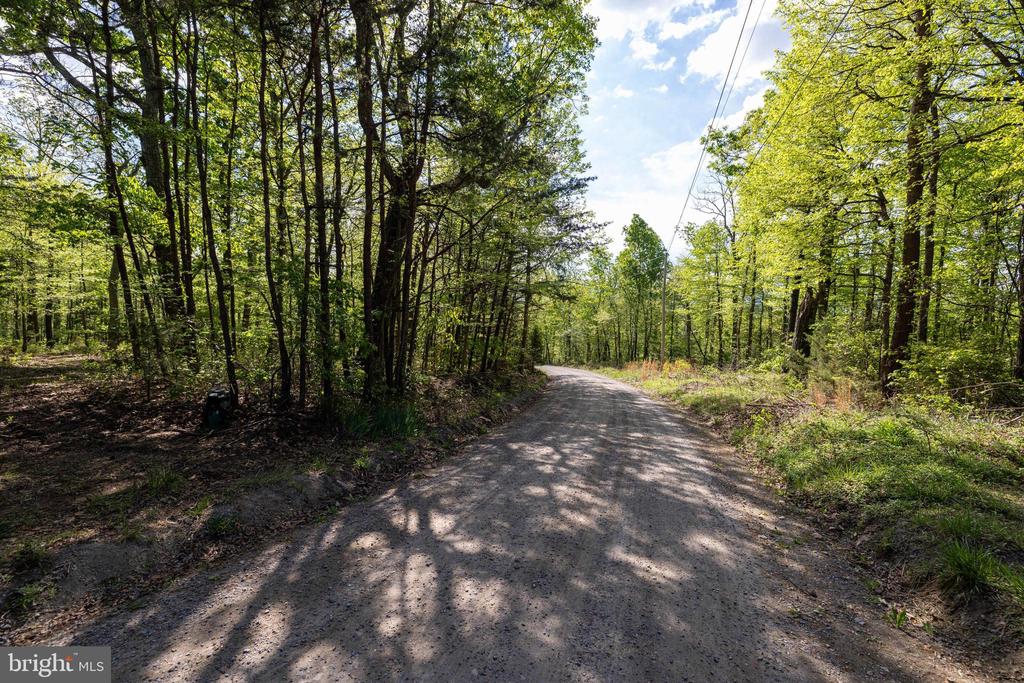 CROSS CREEK RD, LURAY, Virginia 22835, ,Land,CROSS CREEK RD,VAPA2006368 MLS # VAPA2006368