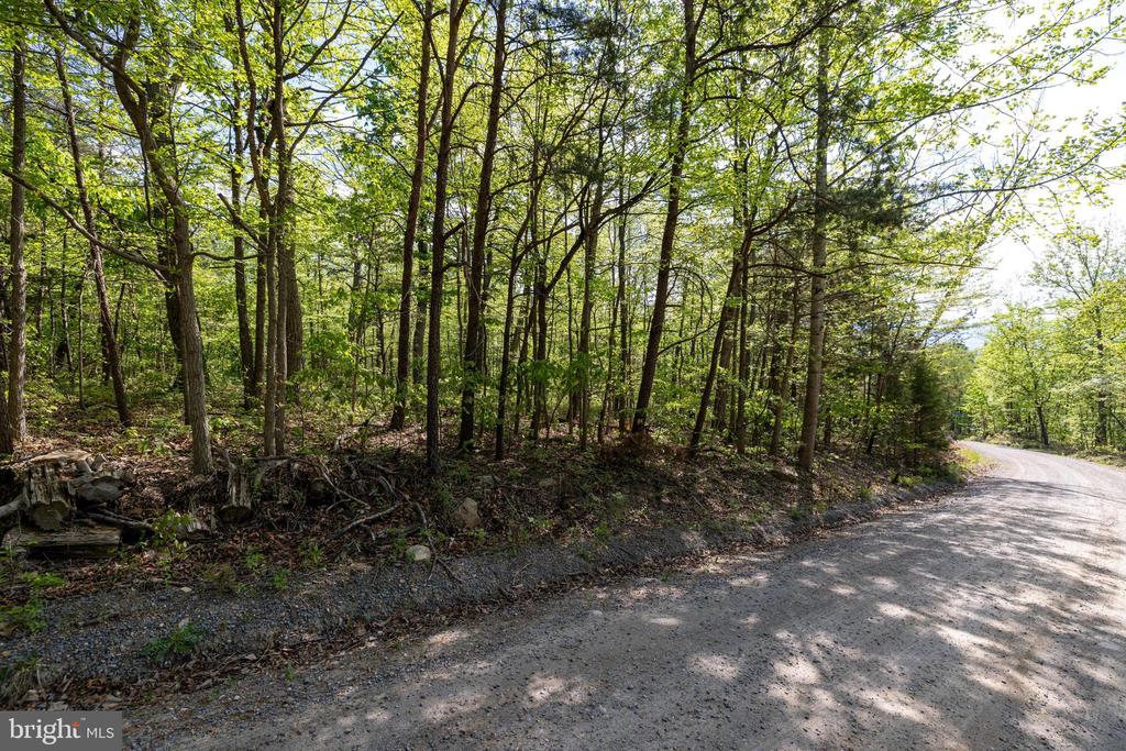 CROSS CREEK RD, LURAY, Virginia 22835, ,Land,CROSS CREEK RD,VAPA2006368 MLS # VAPA2006368