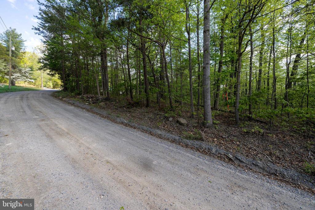CROSS CREEK RD, LURAY, Virginia 22835, ,Land,CROSS CREEK RD,VAPA2006368 MLS # VAPA2006368
