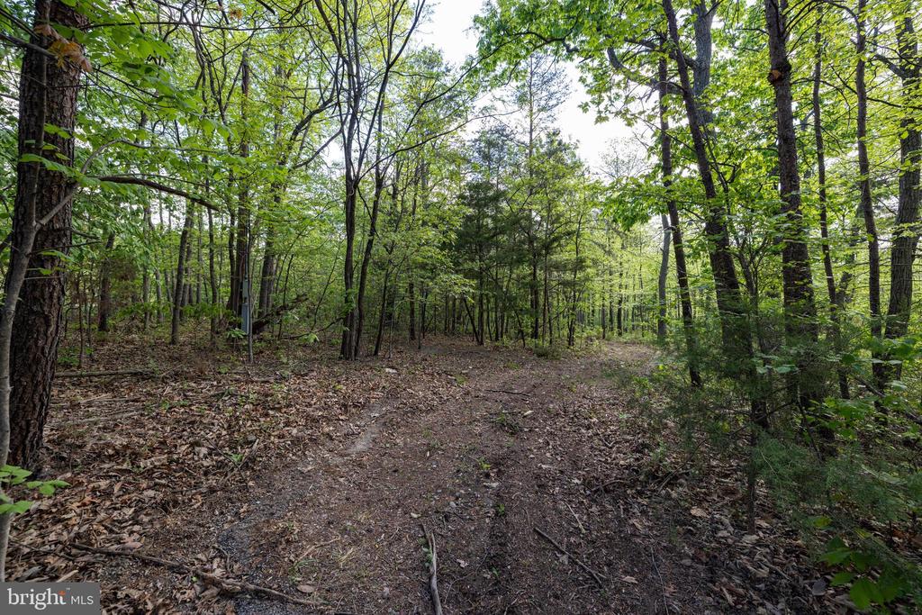 CROSS CREEK RD, LURAY, Virginia 22835, ,Land,CROSS CREEK RD,VAPA2006368 MLS # VAPA2006368
