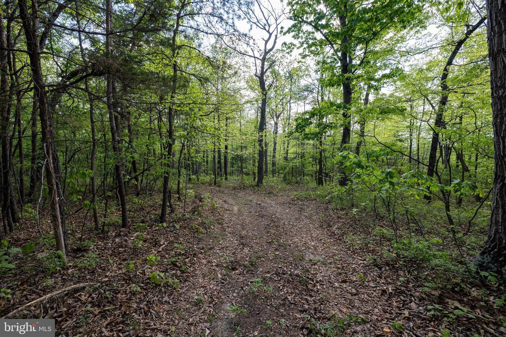CROSS CREEK RD, LURAY, Virginia 22835, ,Land,CROSS CREEK RD,VAPA2006368 MLS # VAPA2006368