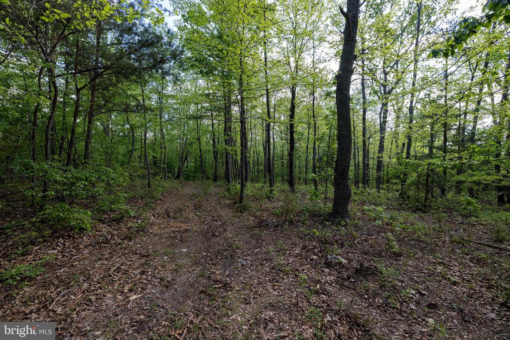 CROSS CREEK RD, LURAY, Virginia 22835, ,Land,CROSS CREEK RD,VAPA2006368 MLS # VAPA2006368