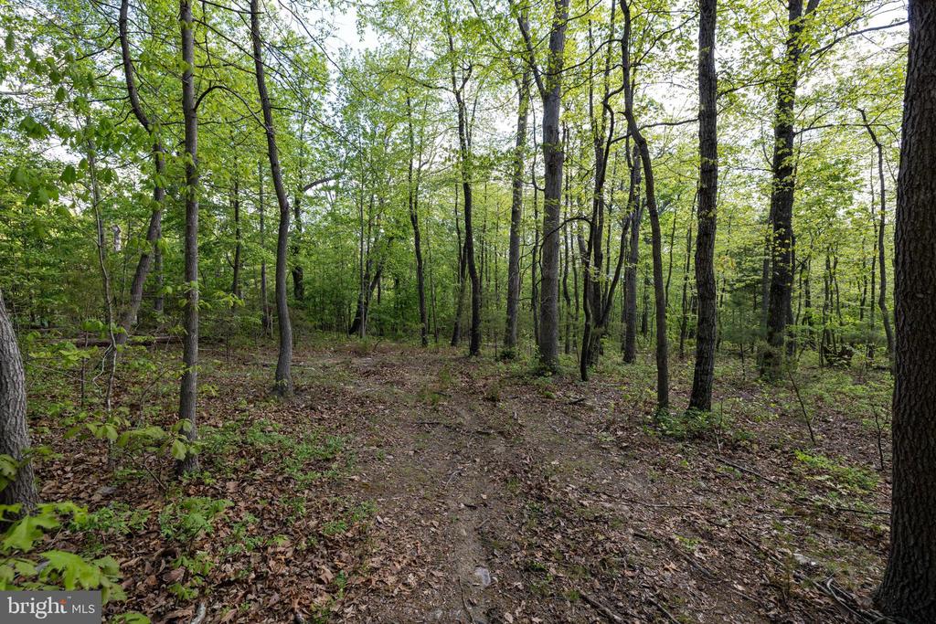 CROSS CREEK RD, LURAY, Virginia 22835, ,Land,CROSS CREEK RD,VAPA2006368 MLS # VAPA2006368