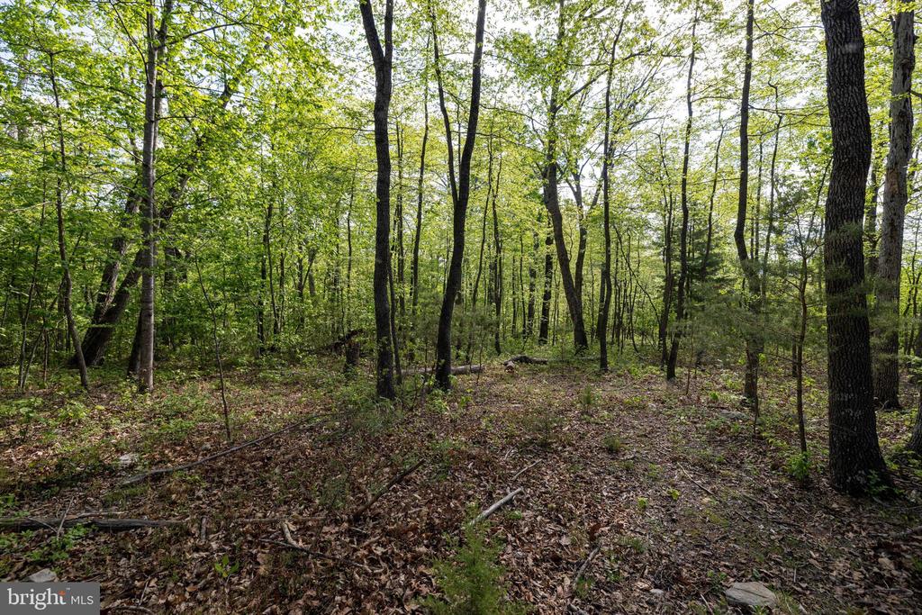 CROSS CREEK RD, LURAY, Virginia 22835, ,Land,CROSS CREEK RD,VAPA2006368 MLS # VAPA2006368
