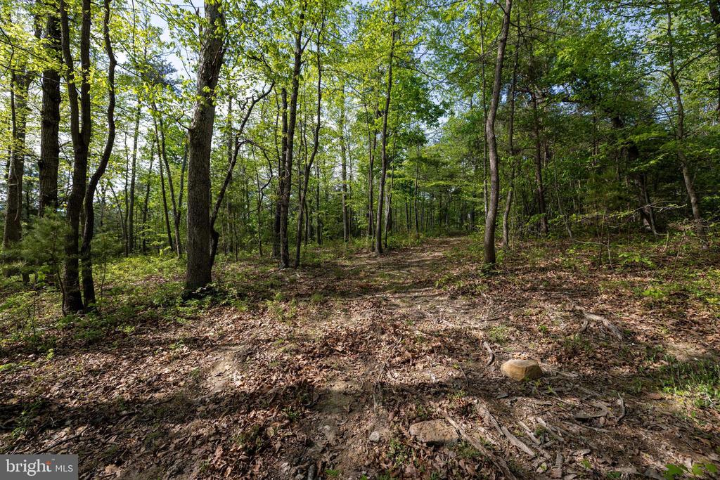 CROSS CREEK RD, LURAY, Virginia 22835, ,Land,CROSS CREEK RD,VAPA2006368 MLS # VAPA2006368