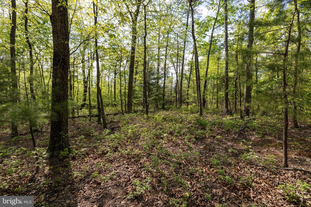 CROSS CREEK RD, LURAY, Virginia 22835, ,Land,CROSS CREEK RD,VAPA2006368 MLS # VAPA2006368