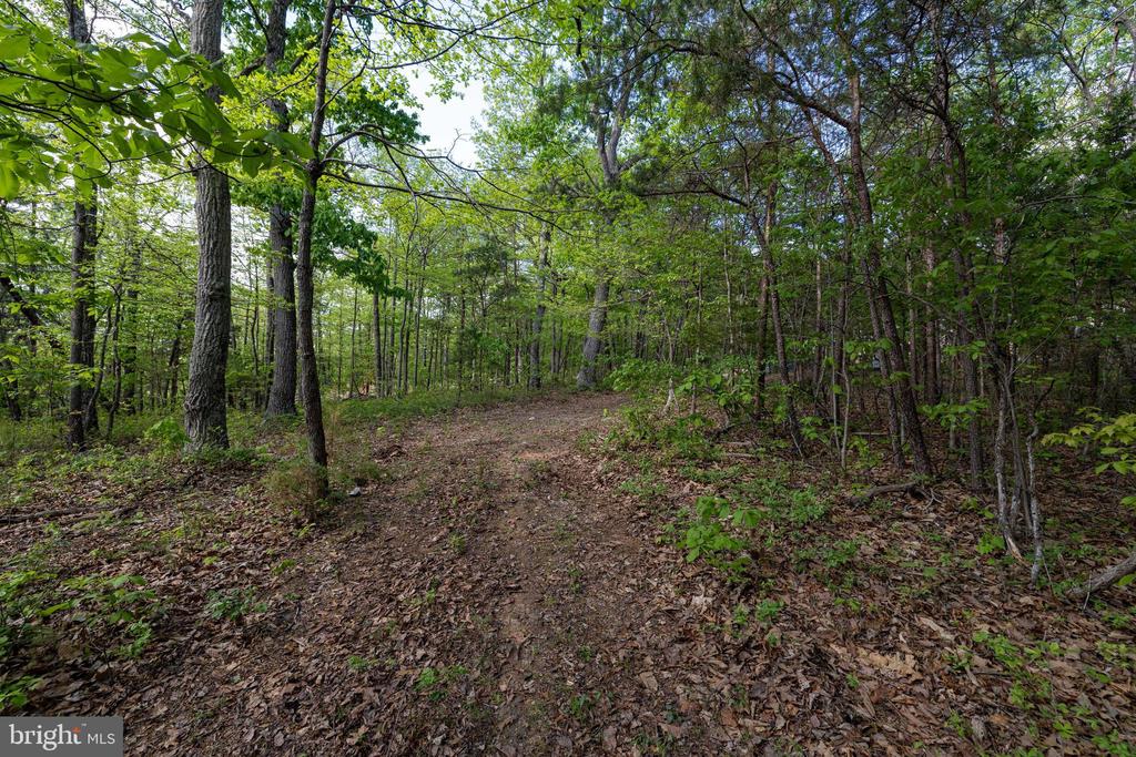 CROSS CREEK RD, LURAY, Virginia 22835, ,Land,CROSS CREEK RD,VAPA2006368 MLS # VAPA2006368