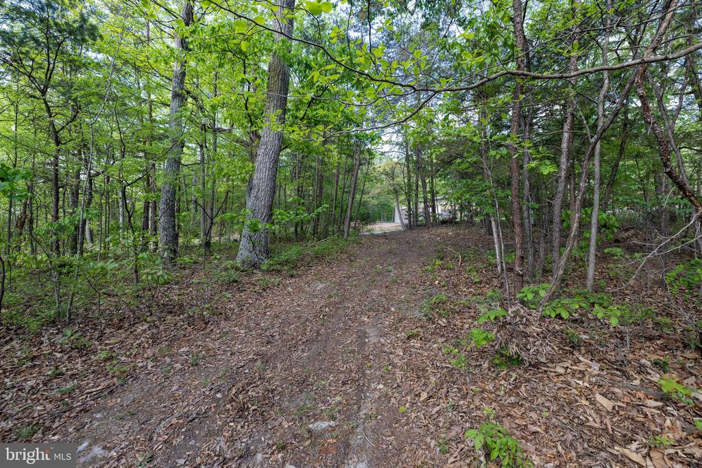 CROSS CREEK RD, LURAY, Virginia 22835, ,Land,CROSS CREEK RD,VAPA2006368 MLS # VAPA2006368