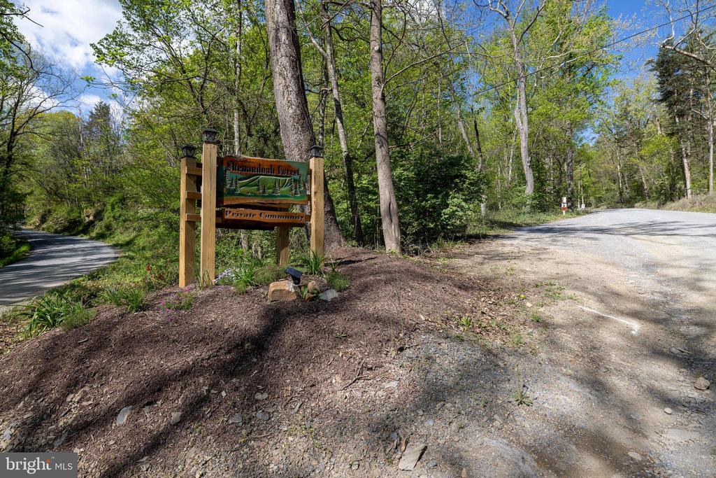 CROSS CREEK RD, LURAY, Virginia 22835, ,Land,CROSS CREEK RD,VAPA2006368 MLS # VAPA2006368