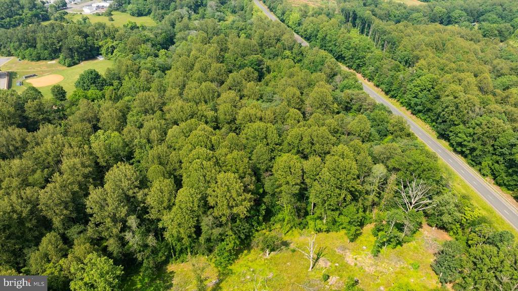 SEMINOLE TRL, MADISON, Virginia 22727, ,Land,SEMINOLE TRL,VAMA2002796 MLS # VAMA2002796 SEMINOLE TRL, MADISON, Virginia 22727, ,Land,SEMINOLE TRL,VAMA2002796 MLS # VAMA2002796