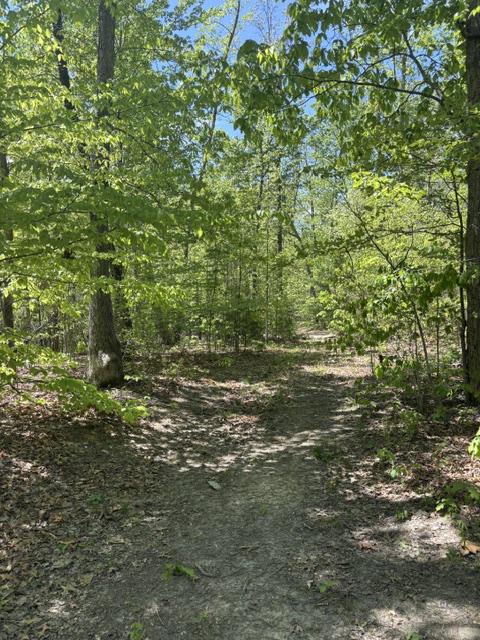 DAVIS LN, ARODA, Virginia 22709, ,Farm,DAVIS LN,VAMA2002794 MLS # VAMA2002794 DAVIS LN, ARODA, Virginia 22709, ,Farm,DAVIS LN,VAMA2002794 MLS # VAMA2002794
