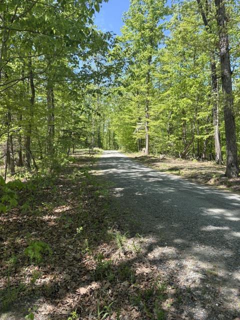 DAVIS LN, ARODA, Virginia 22709, ,Farm,DAVIS LN,VAMA2002794 MLS # VAMA2002794 DAVIS LN, ARODA, Virginia 22709, ,Farm,DAVIS LN,VAMA2002794 MLS # VAMA2002794