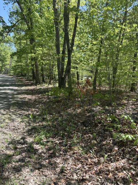 DAVIS LN, ARODA, Virginia 22709, ,Farm,DAVIS LN,VAMA2002794 MLS # VAMA2002794 DAVIS LN, ARODA, Virginia 22709, ,Farm,DAVIS LN,VAMA2002794 MLS # VAMA2002794