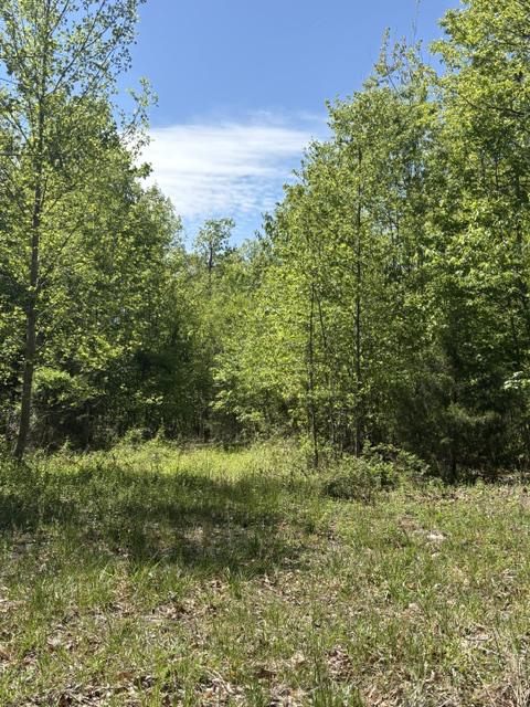 DAVIS LN, ARODA, Virginia 22709, ,Farm,DAVIS LN,VAMA2002794 MLS # VAMA2002794 DAVIS LN, ARODA, Virginia 22709, ,Farm,DAVIS LN,VAMA2002794 MLS # VAMA2002794