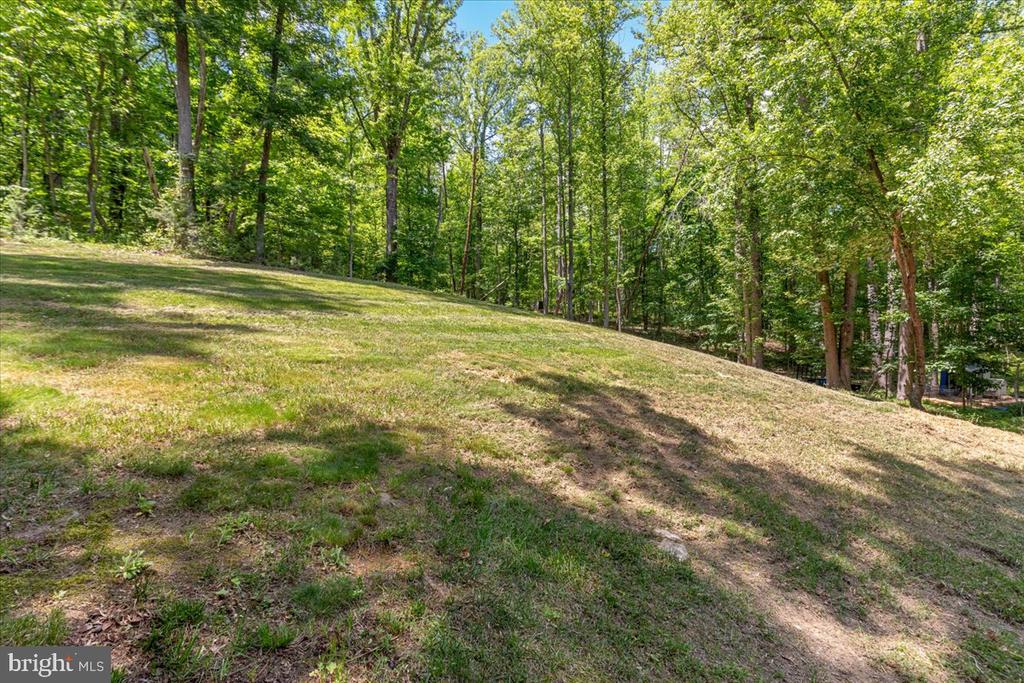 5400 FREE STATE RD, MARSHALL, Virginia 20115, 5 Bedrooms Bedrooms, ,4 BathroomsBathrooms,Residential,5400 FREE STATE RD,VAFQ2021982 MLS # VAFQ2021982 5400 FREE STATE RD, MARSHALL, Virginia 20115, 5 Bedrooms Bedrooms, ,4 BathroomsBathrooms,Residential,5400 FREE STATE RD,VAFQ2021982 MLS # VAFQ2021982