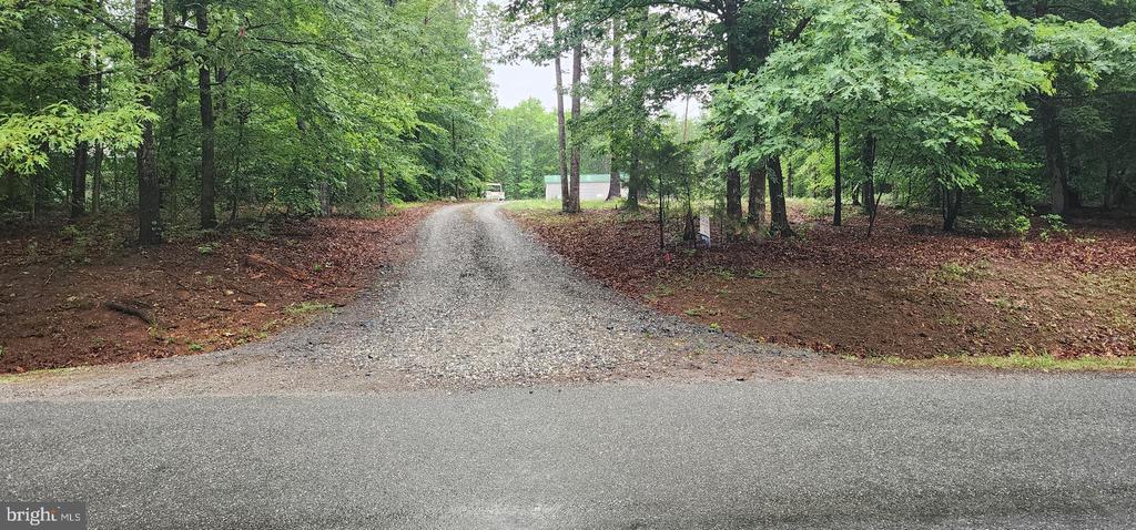 TALL PINES DR, MINERAL, Virginia 23117, ,Land,TALL PINES DR,VALA2009914 MLS # VALA2009914 TALL PINES DR, MINERAL, Virginia 23117, ,Land,TALL PINES DR,VALA2009914 MLS # VALA2009914