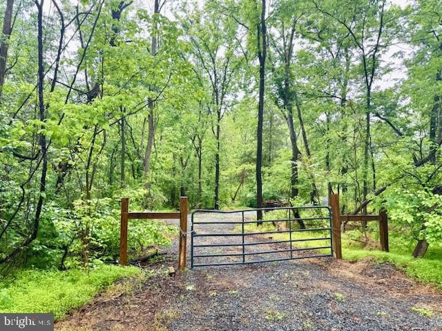 SLAUGHTERS MILL RD, MITCHELLS, Virginia 22729, ,Land,SLAUGHTERS MILL RD,VACU2013706 MLS # VACU2013706 SLAUGHTERS MILL RD, MITCHELLS, Virginia 22729, ,Land,SLAUGHTERS MILL RD,VACU2013706 MLS # VACU2013706