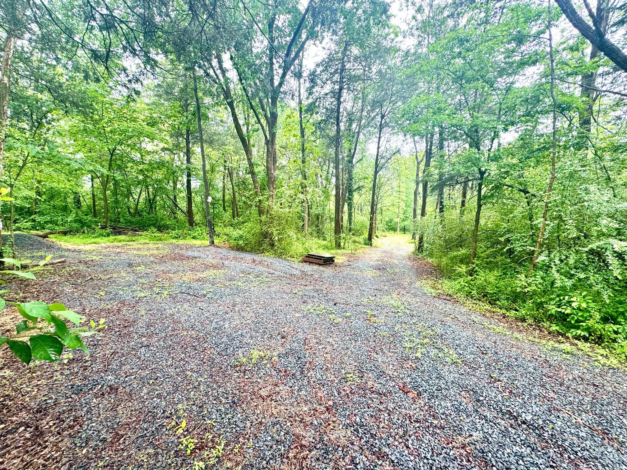 SLAUGHTERS MILL RD, MITCHELLS, Virginia 22729, ,Land,SLAUGHTERS MILL RD,VACU2013706 MLS # VACU2013706 SLAUGHTERS MILL RD, MITCHELLS, Virginia 22729, ,Land,SLAUGHTERS MILL RD,VACU2013706 MLS # VACU2013706