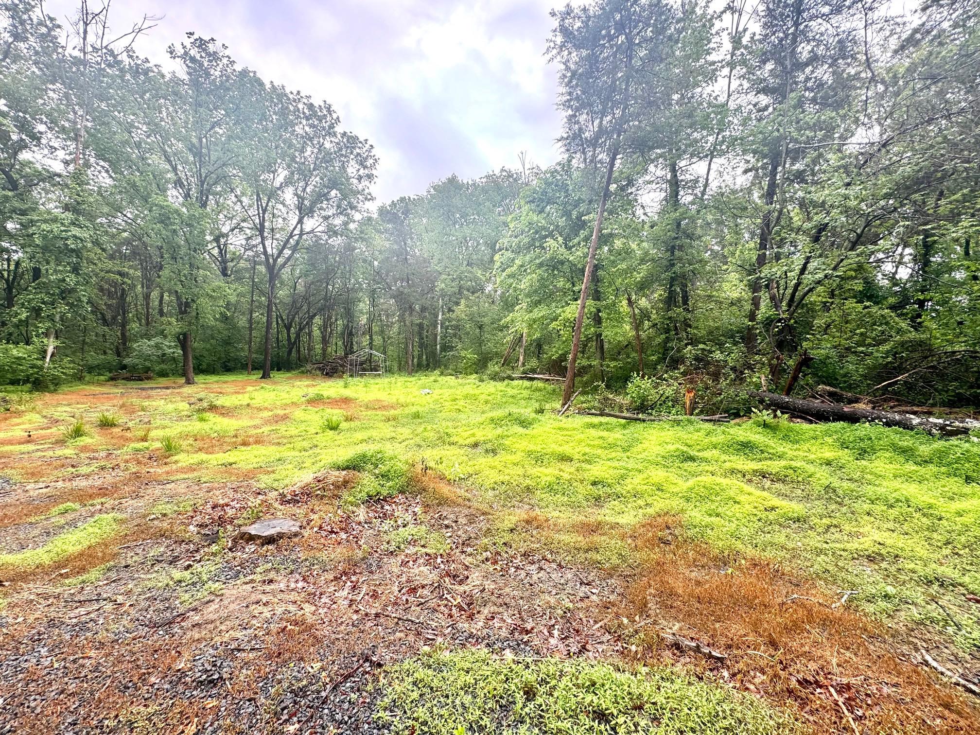 SLAUGHTERS MILL RD, MITCHELLS, Virginia 22729, ,Land,SLAUGHTERS MILL RD,VACU2013706 MLS # VACU2013706 SLAUGHTERS MILL RD, MITCHELLS, Virginia 22729, ,Land,SLAUGHTERS MILL RD,VACU2013706 MLS # VACU2013706