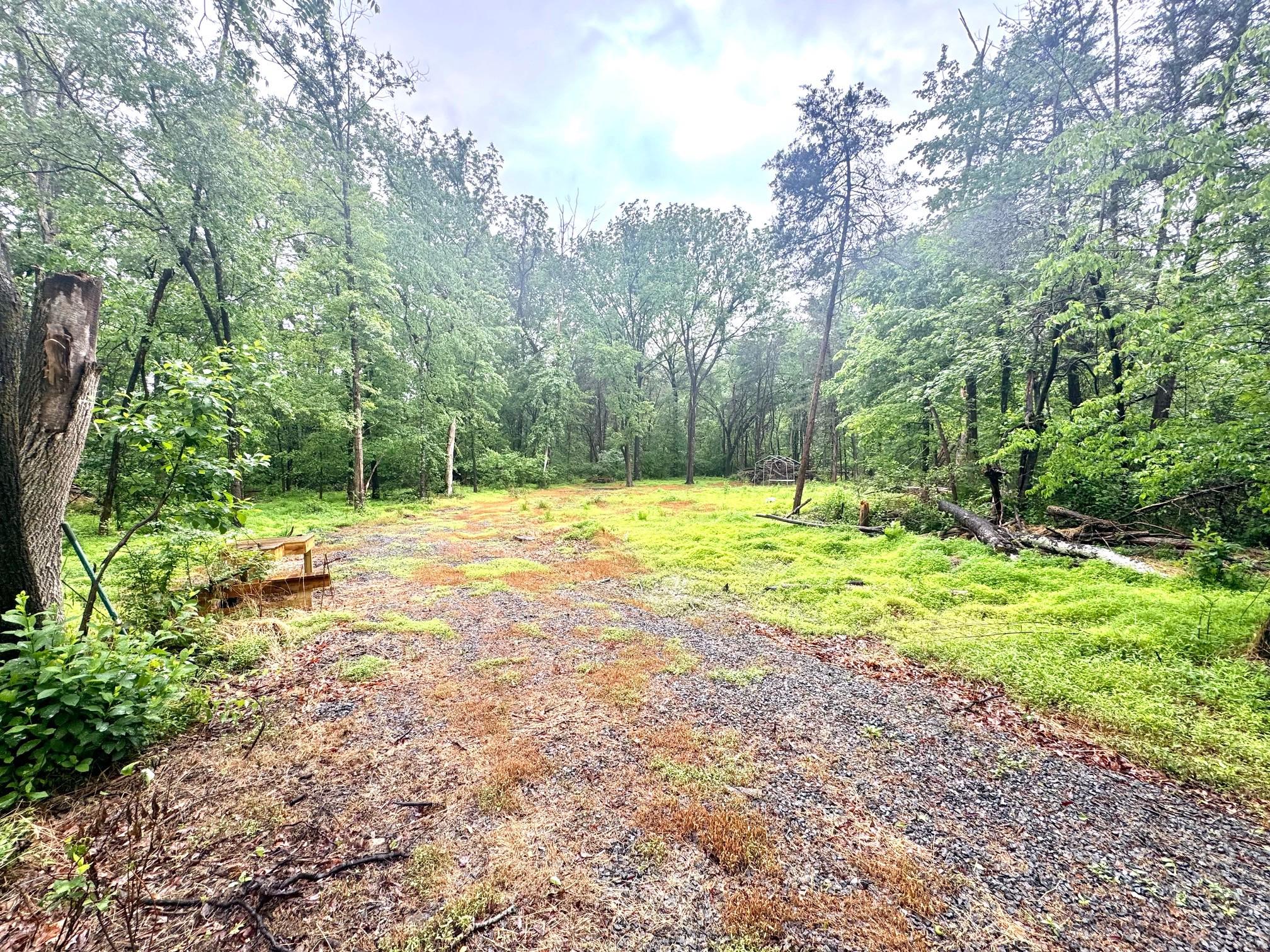 SLAUGHTERS MILL RD, MITCHELLS, Virginia 22729, ,Land,SLAUGHTERS MILL RD,VACU2013706 MLS # VACU2013706 SLAUGHTERS MILL RD, MITCHELLS, Virginia 22729, ,Land,SLAUGHTERS MILL RD,VACU2013706 MLS # VACU2013706