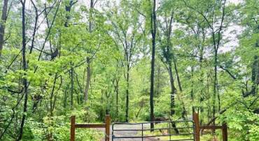 SLAUGHTERS MILL RD, MITCHELLS, Virginia 22729, ,Land,SLAUGHTERS MILL RD,VACU2013706 MLS # VACU2013706