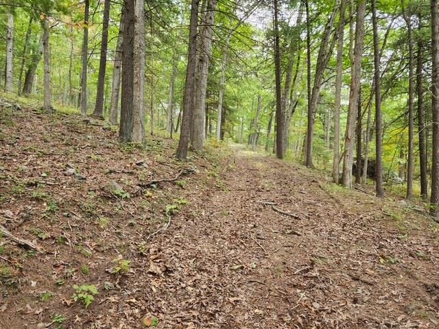 ROCKY BRANCH RD, LURAY, Virginia 22835, ,Farm,ROCKY BRANCH RD,669297 MLS # 669297