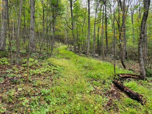 ROCKY BRANCH RD, LURAY, Virginia 22835, ,Farm,ROCKY BRANCH RD,669297 MLS # 669297