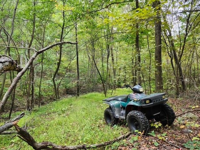 ROCKY BRANCH RD, LURAY, Virginia 22835, ,Farm,ROCKY BRANCH RD,669297 MLS # 669297