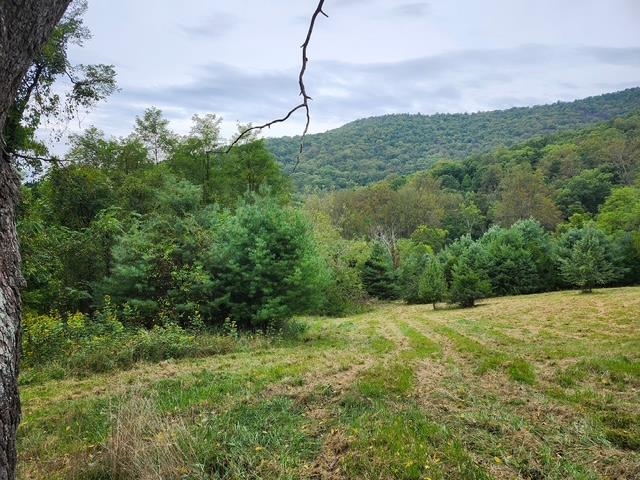 ROCKY BRANCH RD, LURAY, Virginia 22835, ,Farm,ROCKY BRANCH RD,669297 MLS # 669297