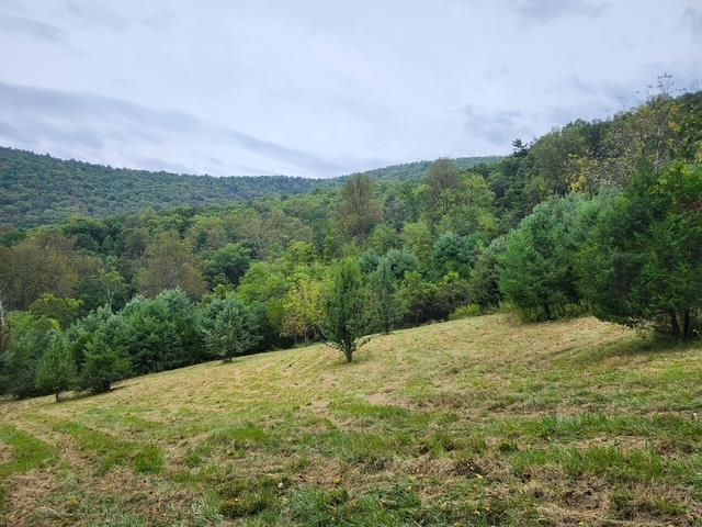ROCKY BRANCH RD, LURAY, Virginia 22835, ,Farm,ROCKY BRANCH RD,669297 MLS # 669297