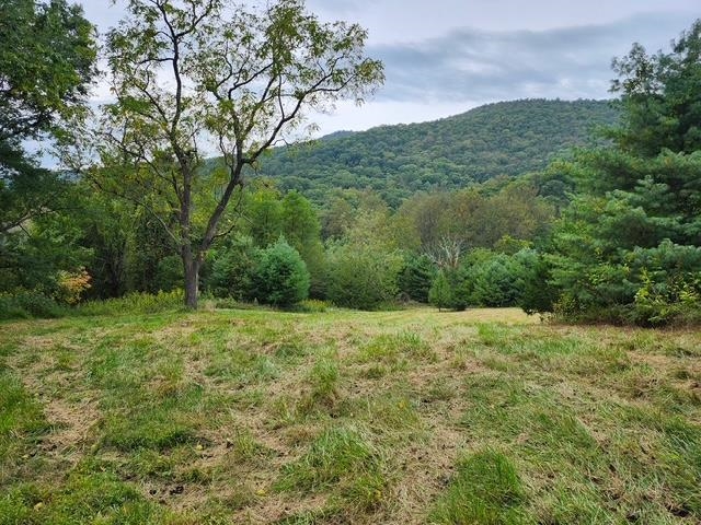 ROCKY BRANCH RD, LURAY, Virginia 22835, ,Farm,ROCKY BRANCH RD,669297 MLS # 669297