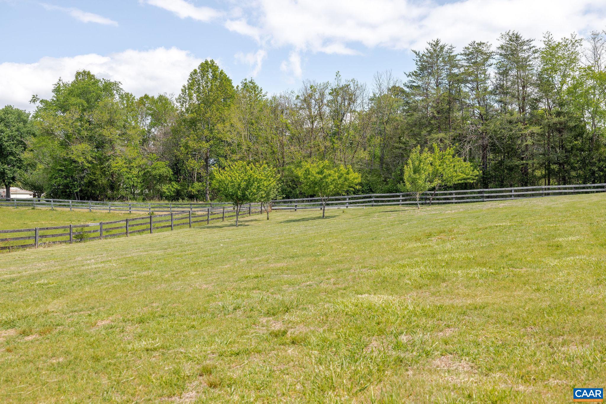 Apple, pear and peach trees added. Established fig and blueberry bushes on the property too! Apple, pear and peach trees added. Established fig and blueberry bushes on the property too!