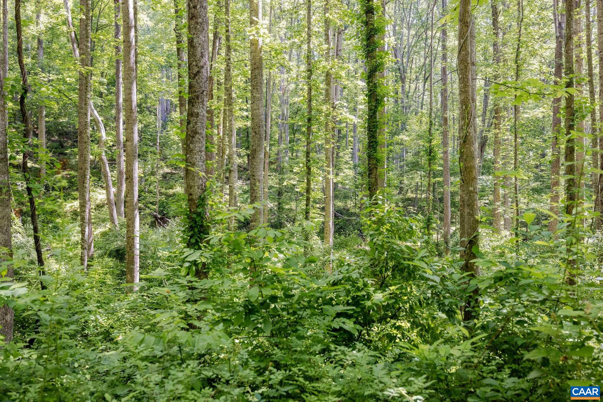 native to this specific region planted in 2021 and 2022