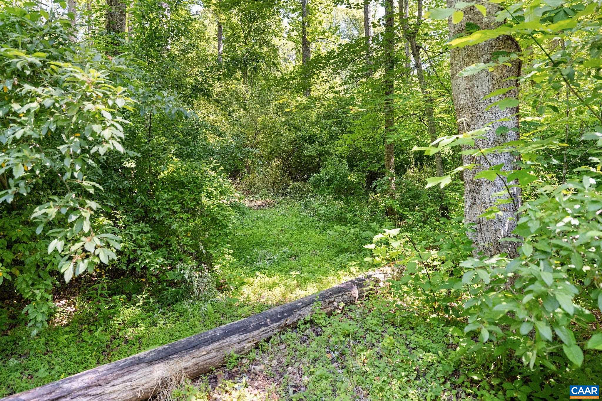 mountain biking and ATV trails.