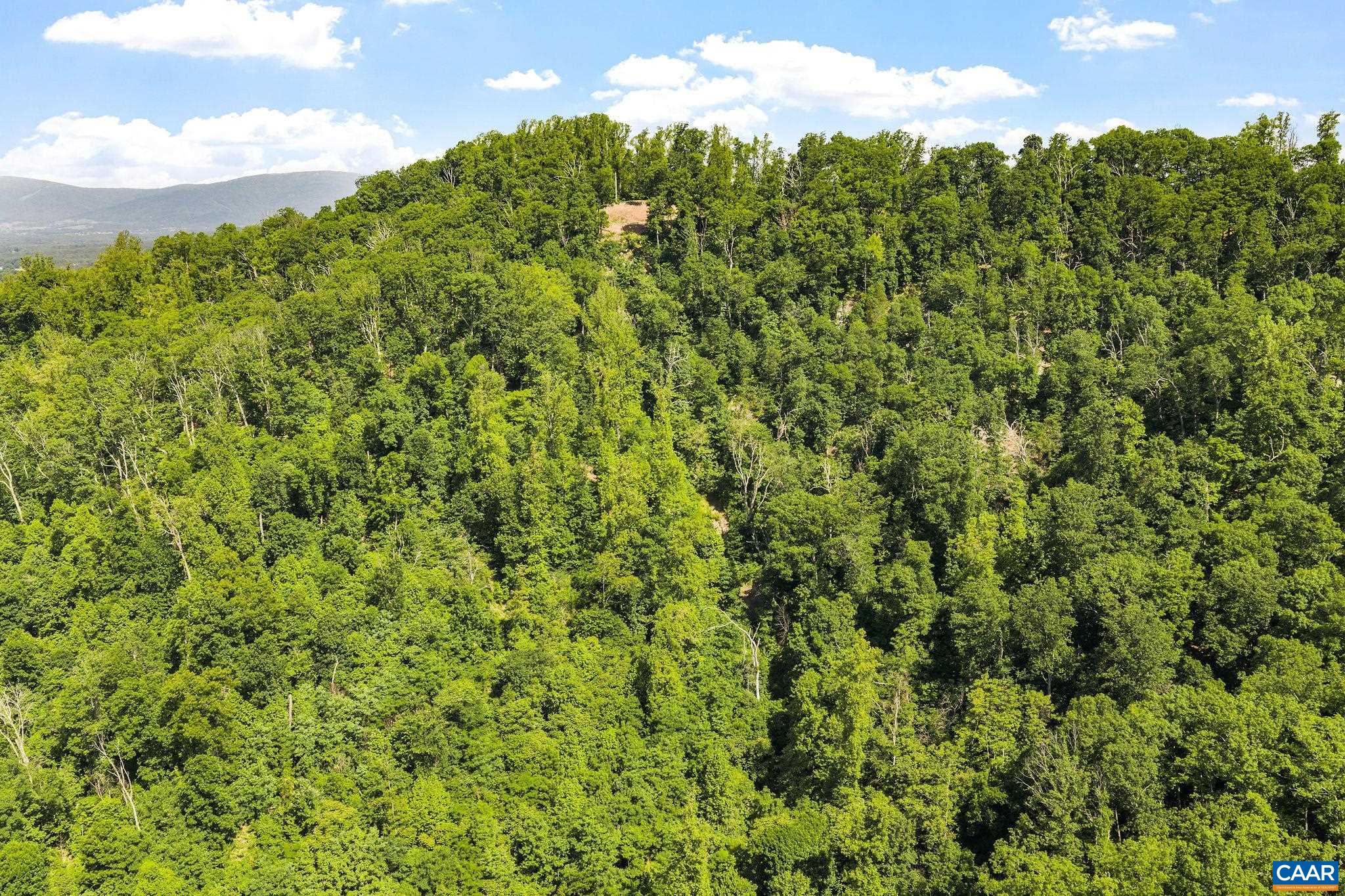 TBD POORHOUSE RD, CHARLOTTESVILLE, Virginia 22903, ,Farm,TBD POORHOUSE RD,677545 MLS # 677545