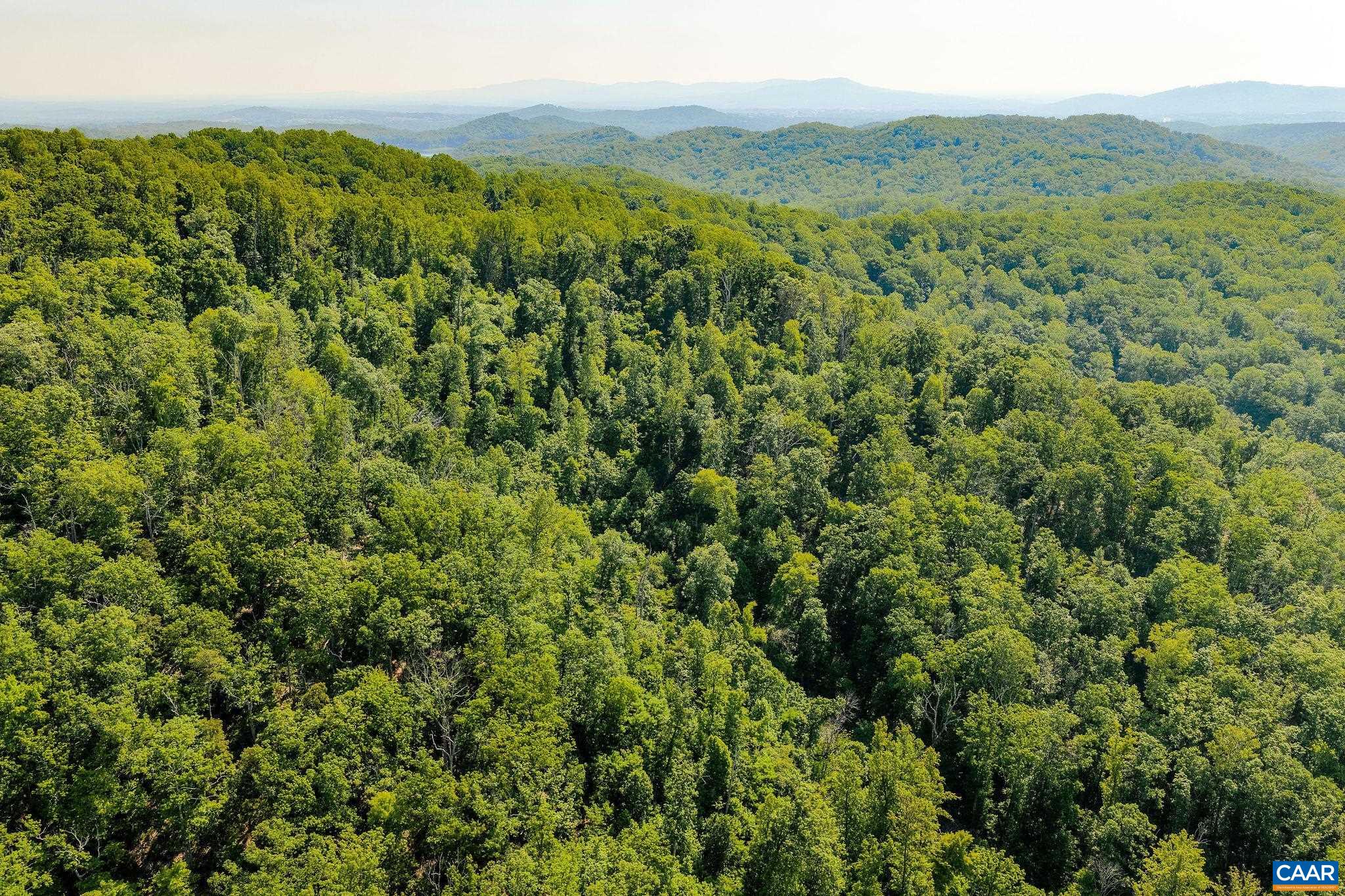 TBD POORHOUSE RD, CHARLOTTESVILLE, Virginia 22903, ,Farm,TBD POORHOUSE RD,677545 MLS # 677545