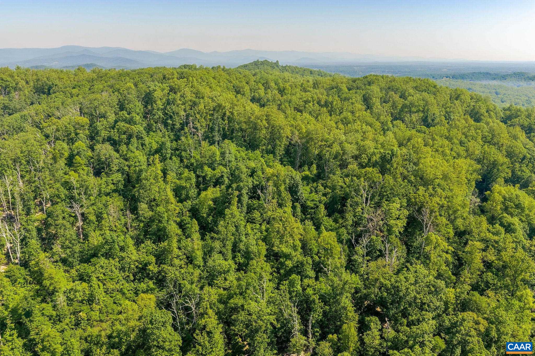 TBD POORHOUSE RD, CHARLOTTESVILLE, Virginia 22903, ,Farm,TBD POORHOUSE RD,677545 MLS # 677545