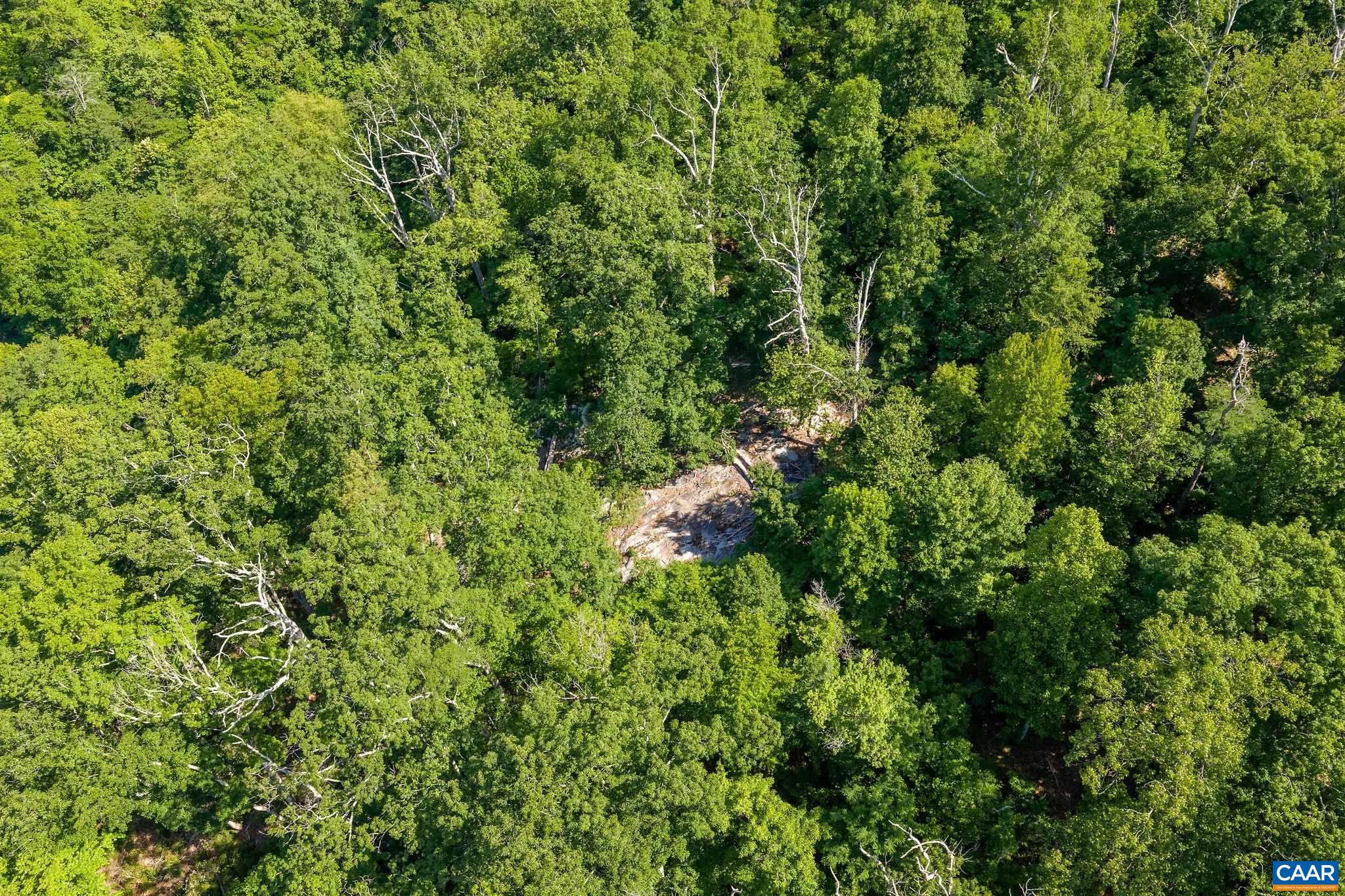 TBD POORHOUSE RD, CHARLOTTESVILLE, Virginia 22903, ,Farm,TBD POORHOUSE RD,677545 MLS # 677545