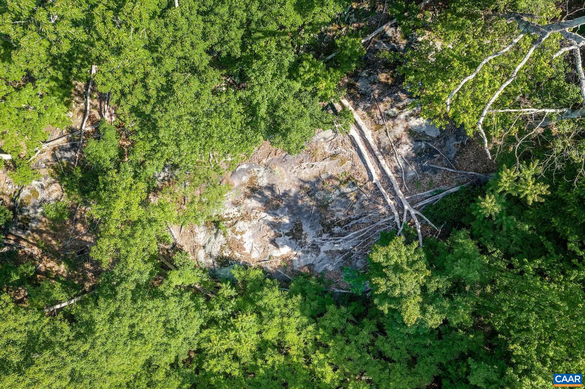TBD POORHOUSE RD, CHARLOTTESVILLE, Virginia 22903, ,Farm,TBD POORHOUSE RD,677545 MLS # 677545