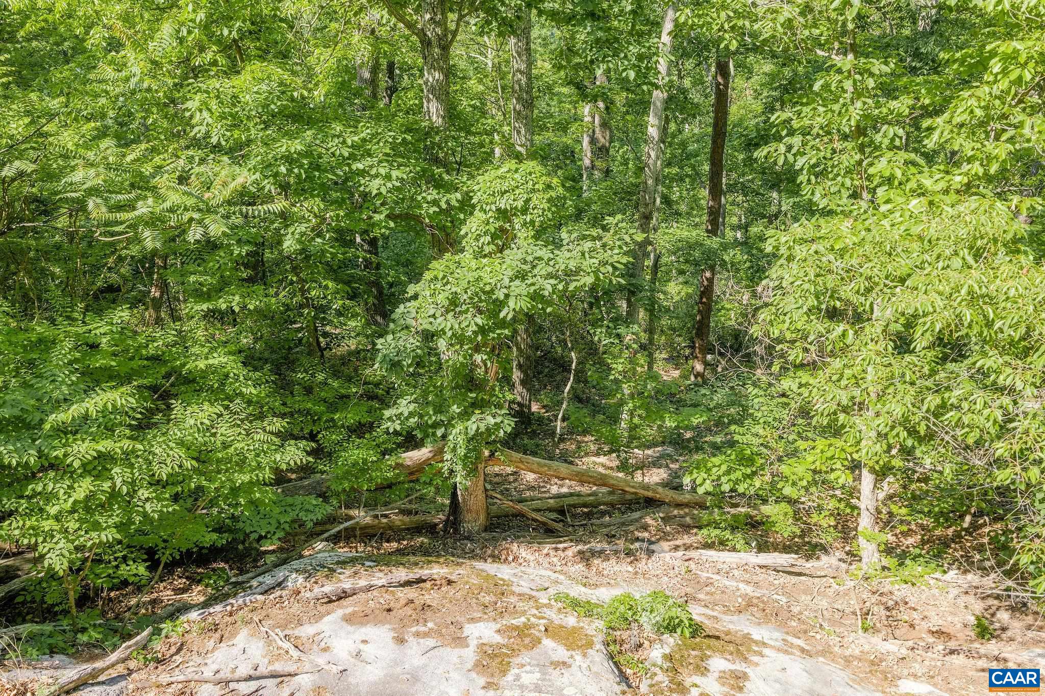 TBD POORHOUSE RD, CHARLOTTESVILLE, Virginia 22903, ,Farm,TBD POORHOUSE RD,677545 MLS # 677545