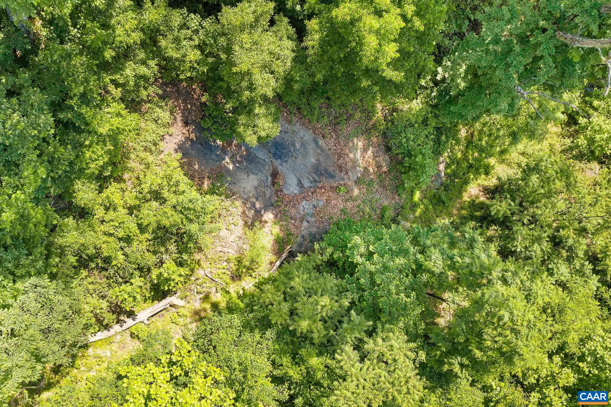 TBD POORHOUSE RD, CHARLOTTESVILLE, Virginia 22903, ,Farm,TBD POORHOUSE RD,677545 MLS # 677545
