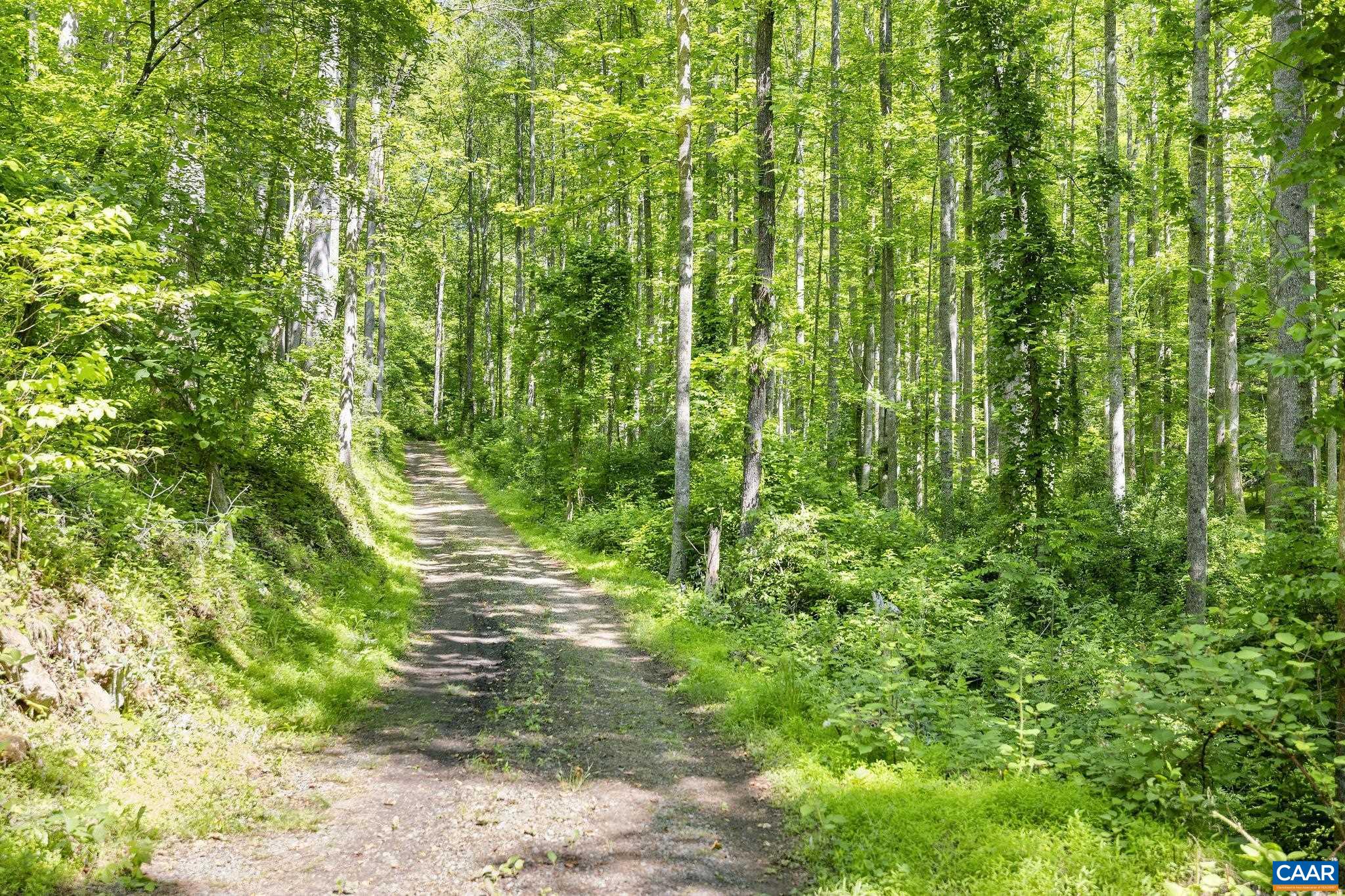 TBD POORHOUSE RD, CHARLOTTESVILLE, Virginia 22903, ,Farm,TBD POORHOUSE RD,677545 MLS # 677545