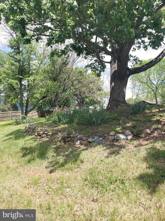 711 RILEYVILLE RD, RILEYVILLE, Virginia 22650, 3 Bedrooms Bedrooms, ,1 BathroomBathrooms,Residential,711 RILEYVILLE RD,VAPA2005920 MLS # VAPA2005920
